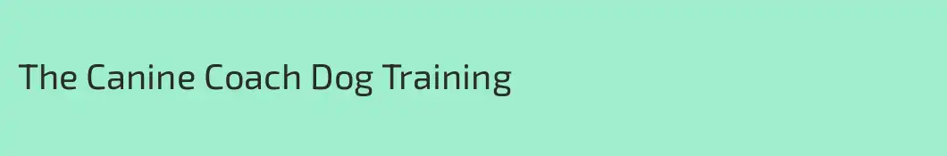 The Canine Coach Dog Training
